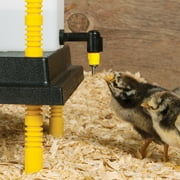 Premier Chicken Nipple Waterer with Wall Bracket (White)