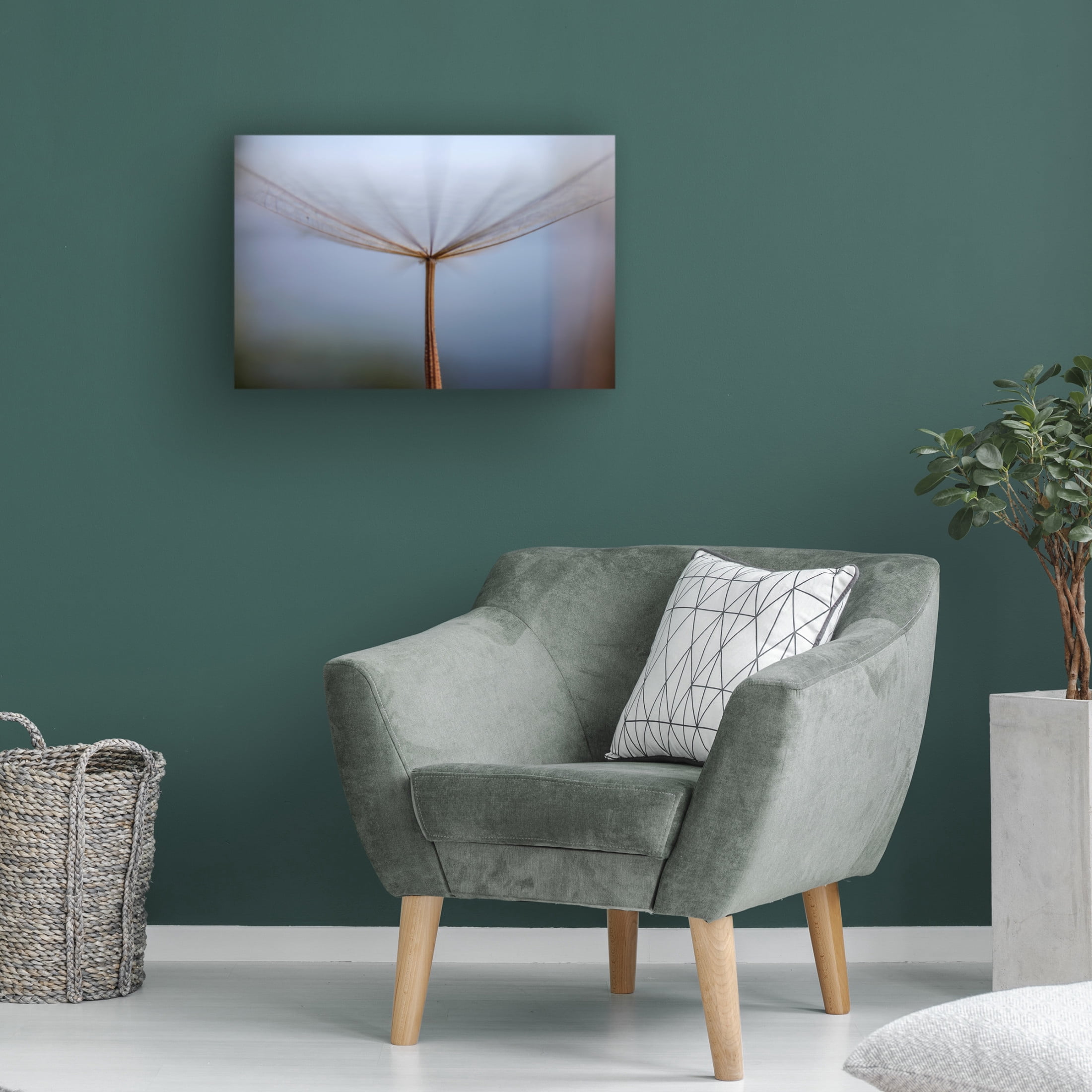 Trademark Fine Art Hassan Dehdaran Jabry Dandelion Canvas Wall Art