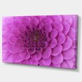 thumbnail image 2 of Large Purple Flower and Petals - Floral Canvas Art Print, 2 of 3