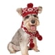 thumbnail image 3 of RV Gorro de disfraz de perro de Navidad y bufanda de punto - Accesorios lindos para disfraces de mascotas Ropa de abrigo de invierno para gato B(L) Rojo Verde, 3 of 5