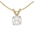 thumbnail image 1 of 10k Yellow Gold Freshwater Cultured Pearl Pendant with 16" Chain, 1 of 3