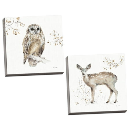 Woodland Home Decor Gango Home Decor Shabby-Chic A Woodland Walk VIII & IX by Lisa Audit (Ready to Hang); Two 16x16in Hand-Stretched Canvases ()