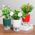 thumbnail image 2 of 1Pc Plant Pot Self Watering Clear Plastic Flowerpot Double-Layer Water Storage Red, 2 of 5