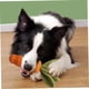 thumbnail image 5 of Carrot Dog Toy for Aggressive Chewing, Rubber Dog Squeaky Toy, Indestructible Chew, 5 of 5