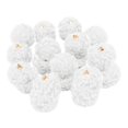 thumbnail image 1 of Paquete De 20pcs Colgante De Bola De Lana De Cordero Adornos Para Pendientes De Bricolaje, Ropa Decorativa, Artesanías De Costura Blanco Baoblaze Colgante del pendiente de la bola de piel, 1 of 8