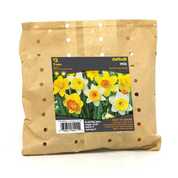Daffodil Mixed