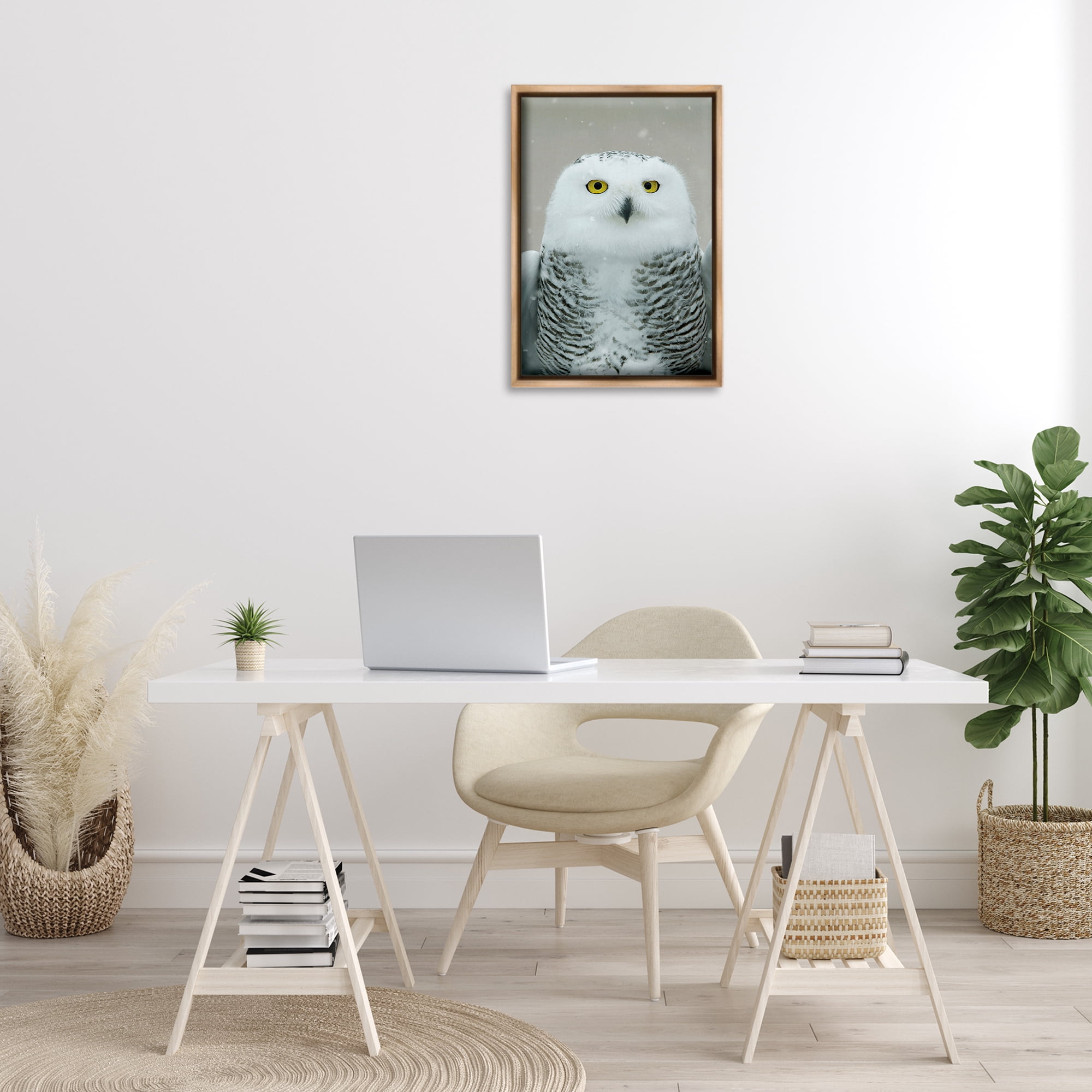 Stupell Industries Snowy Owl Portrait Animals & Insects Photography Brown Floater Framed Canvas Art Print Wall Art, 17 x 25