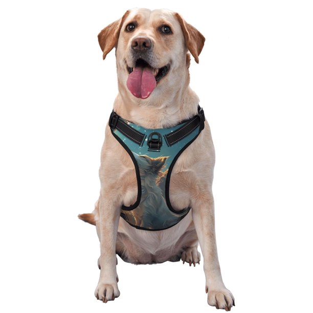 Fotbe Starry Sky Cloud Wolf Arnés para Perro con Estampado –Chaleco Ajustable Acolchado con Asa de Control para Perros Grandes-Medium