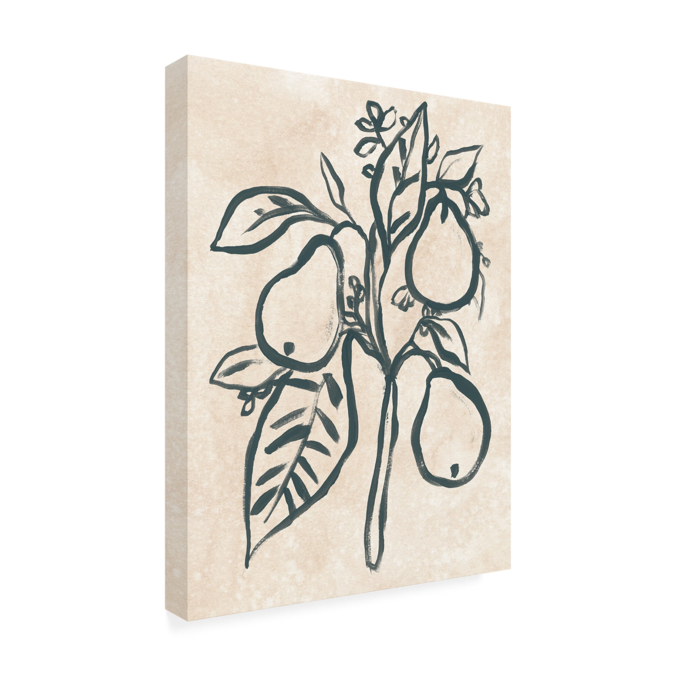 Trademark Fine Art June Erica Vess  Ink Pear Branch I Canvas Wall Art