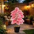 thumbnail image 6 of Gallickan Artificial Pink Plant Potted Alocasia 24 Leaves PVC Fake Tropical with Pot for Home Office Desk Decor, 6 of 6