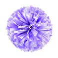 thumbnail image 2 of Hbdhejl 2Pcs Cheerleaders Handheld Color Flower Sports Activities Performance Cheering Supplies Round High Density Color Strip Lightweight Double Finger Ring Buckle Design Anti Slip Off, 2 of 4