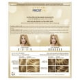 thumbnail image 3 of Clairol Frost & Tip Highlighting Hair Dye Kit, Ultra Precise Blonde Hair Color, 1 Application, 3 of 5