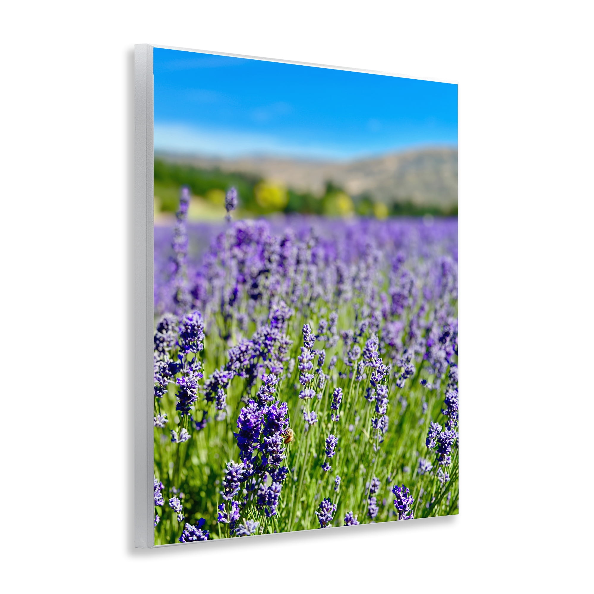 Stupell Industries Lavender in the Wind Landscape Photography Unframed Art Print Wall Art, 11 x 14