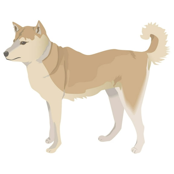 Finnish Spitz Decal | Indoor/Outdoor | Dog Lover Super Cute Sticker for SUV Windows, Dorm Rooms, Bedroom, Offices | SignMission personalized gift | 18"