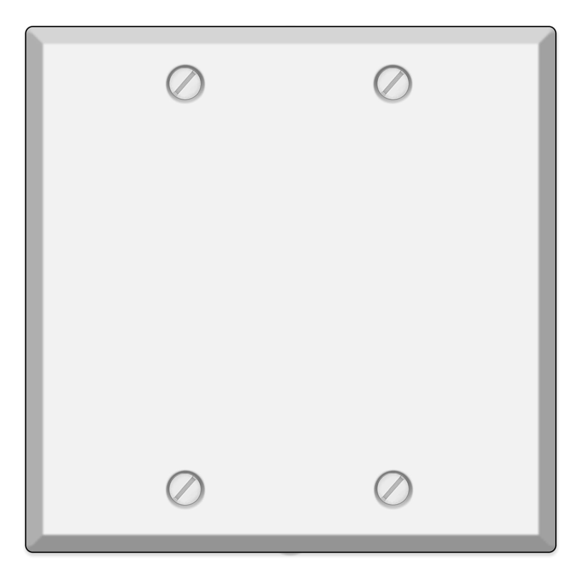2-Gang Blank White Metal Wall Plate Cover, Made in USA, Standard Size Steel Blank Light Switch Cover, Cover Plate for Unused Outlets & Electrical Boxes, Matching Screws