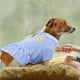 thumbnail image 5 of 2 vestidos transpirables para perros, de malla, para cachorros, bonitos, elegantes, de verano, para perros pequeños, gatos y mascotas (aguacate y pato)., 5 of 7