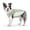 Green, variant on HQREA Dog Cooling Shirt Waterproof Summer UPF 50 UV Protection Quick Dry Doggy Vest Tank Top Clothes for Large Dogs
