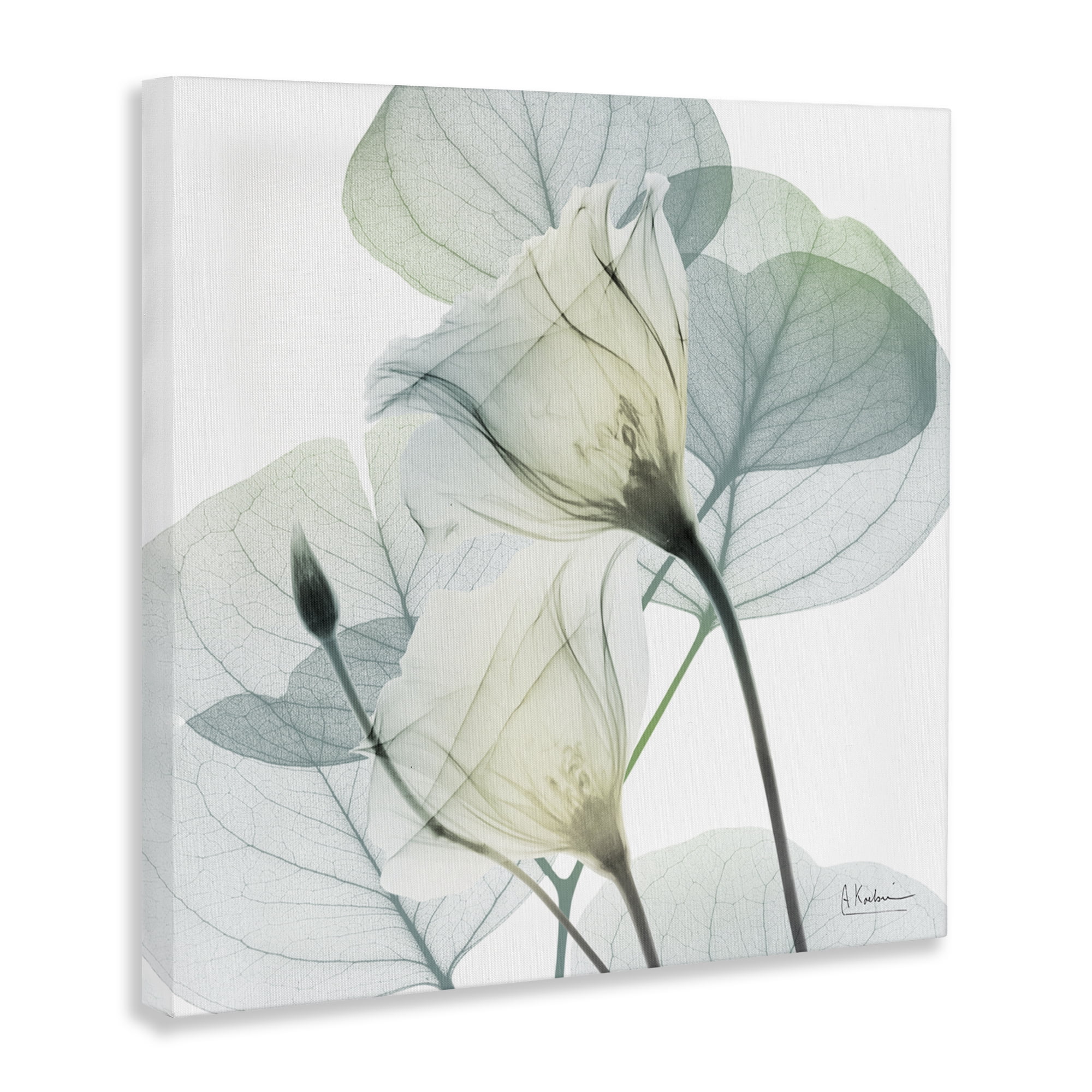 Stupell Industries Divine Fate Petals Canvas Wall Art, design by Albert Koetsier