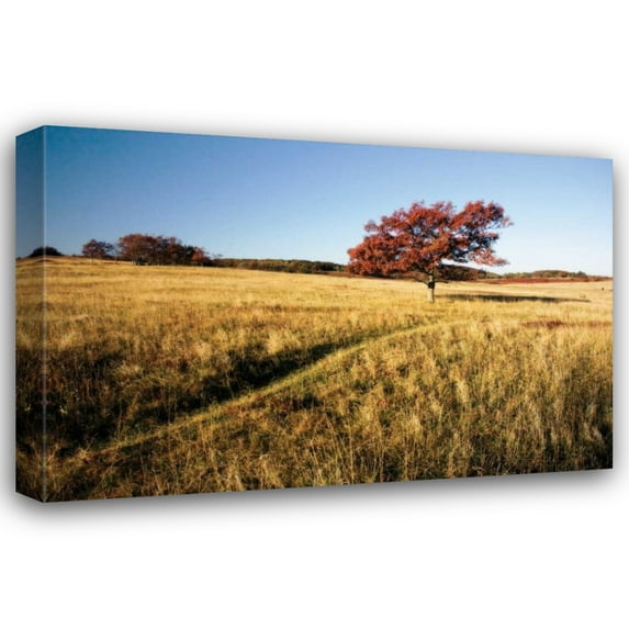 Alan Hausenflock 18x13 Gallery Wrapped Canvas Wall Art Titled - Autumn Meadow I
