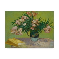 Trademark Fine Art 'Oleanders' Canvas Art by Vincent Van Gogh