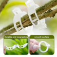thumbnail image 3 of Secured Plastic Plant Clip, 2024 Upgrade Plant Support Clips, Garden Clips for Climbing Plants, Plastic Trellis Clips Plant Support Clips Tomato Grape, 3 of 5
