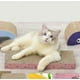 thumbnail image 3 of Gato rascador de cartón para sofá cama, tablero rascador para gatos, sacapuntas de garras de cartón corrugado con forma de hueso grande oso de fresa Electrónica, 3 of 5