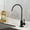Matte Black, variant on RO Water Filter Faucet Non-Air-Gap Drinking Water Beverage Faucet for Reverse Osmosis Systems Water Filtration System 304 Stainless Steel (Brushed Nickel)