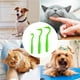 thumbnail image 1 of Peine para pulgas y herramienta para quitar garrapatas para mascotas Cepillo de aseo para perros/gatos Peine para quitar pulgas de acero inoxidable con mango ergonómico, 1 of 5