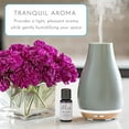 thumbnail image 3 of Blossom Essential Oil Aromatherapy Diffuser, 3 of 7