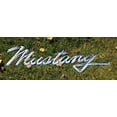 thumbnail image 5 of Ford Mustang Script Steel Sign, 5 of 8