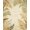 Beige Cream Tan, Pattern 2, variant on ODIKA Woodland Jungle Zoo Border Beige Playroom Print Orange for Small Living Room, Bedroom, Easy Care Kids Safe