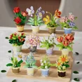 thumbnail image 3 of Assembly Toy Block Rose Flower Succulent Pot Plant Compatible with Lego Eternal Sunflower Gift for Girls, 3 of 5