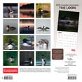 thumbnail image 2 of The Loon 2026 Square Wyman FOIL, 2 of 3
