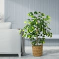 thumbnail image 3 of LCG Florals Artificial Tree, Ficus Tree, 4 ft, Woven Rattan Handled Basket, 3 of 7