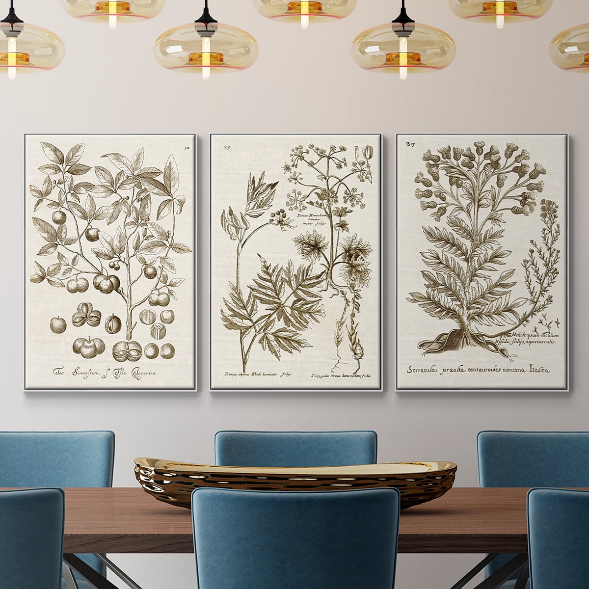 Sepia Botanical Journal I - Framed Premium Gallery Wrapped Canvas L Frame 3 Piece Set - Ready to Hang