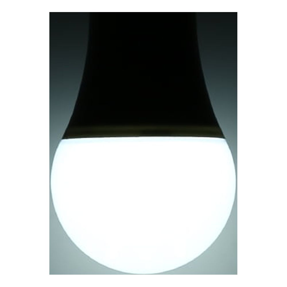Pack of 2 Multifunctional Rechargeable 6W Emergency LED Light Bulbs 60W Equivalent 6000K Bright Outdoor Hanging Lamp Lights for Power Outage Camping Garden Parties--E26/E27, AC100~240V