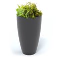 thumbnail image 2 of Mayne Caprio 26" x 16" Tall Self-Watering Polyethylene Planter - Graphite Grey, 2 of 5