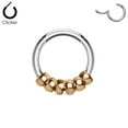 thumbnail image 4 of 316L Surgical Steel Hinged Segment Hoop Rings with Steel beads 16G, 4 of 4