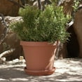 thumbnail image 4 of Bloem Terra Pot Round Planter: 24" - Terra Cotta Color, (Saucer Not Included) Durable Resin Pot, for Indoor and Outdoor Use, 16 Gallon Capacity, 4 of 6