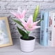 thumbnail image 5 of Jadeshay Lámpara de Flores Artificiales, lámpara de Lirio Artificial LED Solar, Plantas Falsas de Interior con luz LED para decoración del hogar, 5 of 12