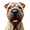 Chinese Shar-Pei, variant on Happy Easter Airedale Terrier with Bunny Ear Headband and Flowers Desk Mat Full Keyboard Mouse Pad Dale Waterside Dog Lover Large Mousepad - 13001