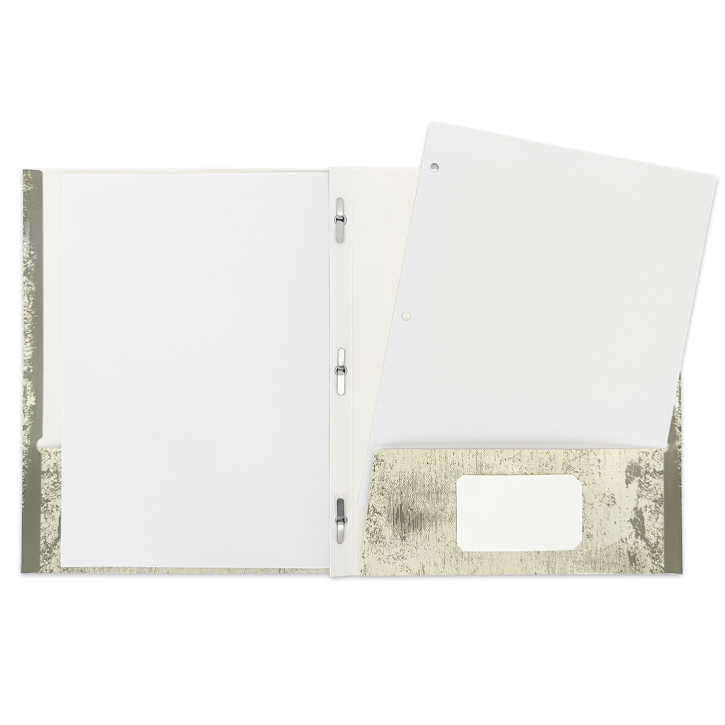 Carpeta de papel con 2 bolsillos y 3 pestañas Pen+Gear, lagartijas beige y negras 5