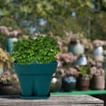 thumbnail image 1 of Thickened Square Silicone Planter for Succulent Fall Season Pot, 1 of 3