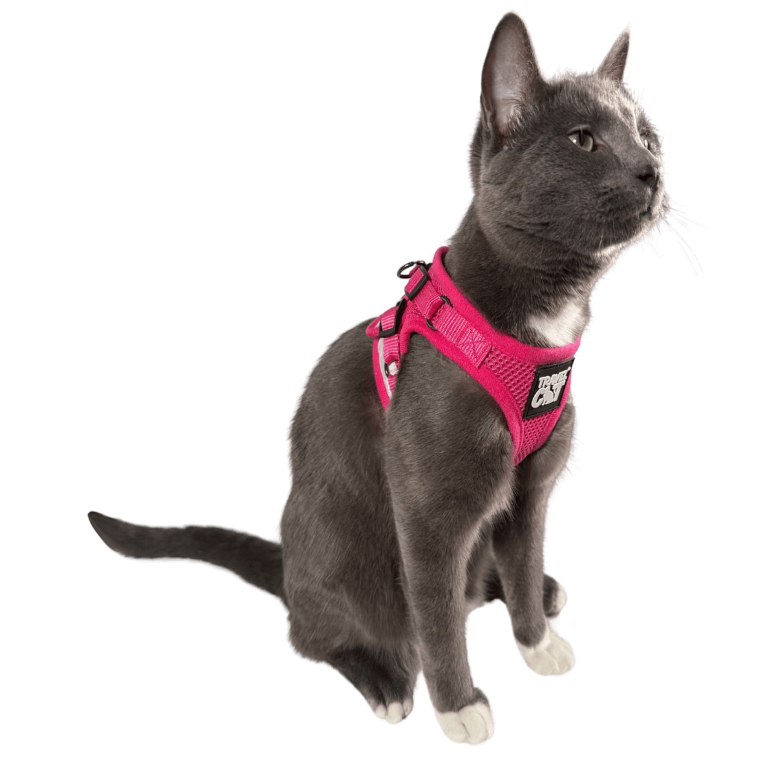 "The Purrfectly Pink" Iridescent Limited-Edition Harness  Leash Set