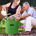 thumbnail image 5 of Bolsa para plantas de hortalizas de jardín con ventana, asa（verde, 2） Sailing Electrónica, 5 of 5
