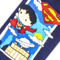 thumbnail image 2 of Daily Planet, 2 of 3