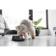 thumbnail image 4 of Cuenco De Acero Inoxidable Para Perros – Cuencos De Agua Y Comida De Metal Pesado De 32 Oz Para Perros Y Gatos Con Base Antideslizante – Cuencos Para Mascotas Para Todas Las Razas Tamaños Para Viajes, 4 of 5