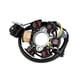 thumbnail image 2 of Motorcycle Atv Pit Bike Go Kart Full Complete Electrics Wiring Harness Stator 6 Coil Compatible With Zekai, 2 of 5