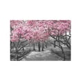thumbnail image 4 of MKHERT Pink Blossoms in Central Park Landscape New York City Placemats Table Mats for Dining Room Kitchen Table Decoration 12x18 inch,Set of 4, 4 of 4