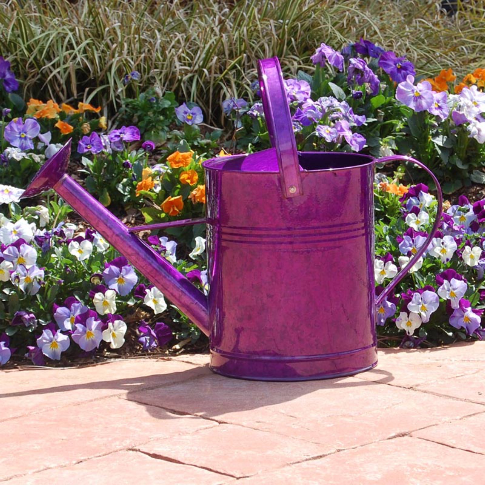 Austram-Griffith Creek Designs Metal Watering Can by Austram Inc